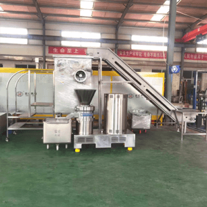 Frozen Meat Preprocessing Line